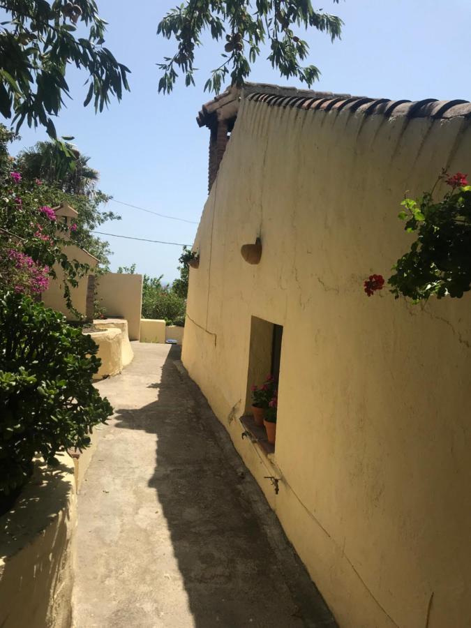 Casa Hector Villa Granada Dış mekan fotoğraf